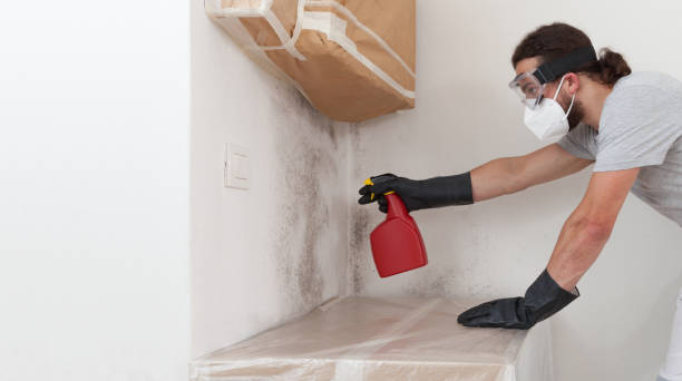 Professional Black Mold Remediation technician working in Sanford, CO